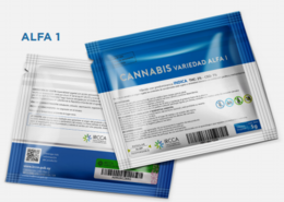 imagen del contenido El 19 de julio sale a la venta la marihuana estatal