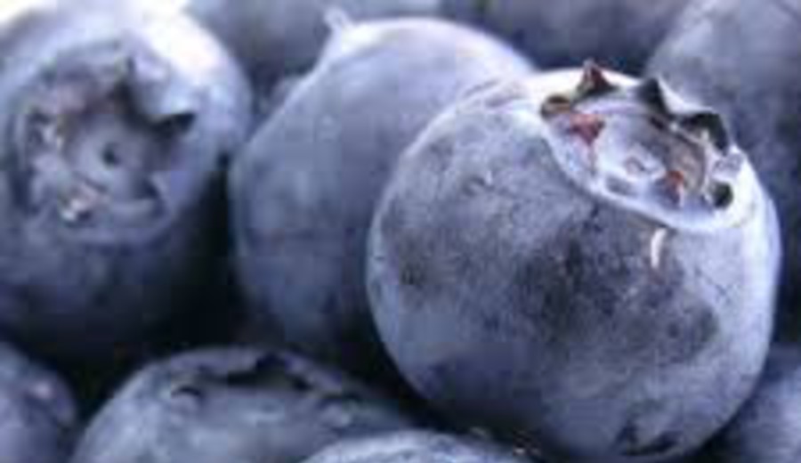 imagen de La “blueberry freedom”: China aprieta a un arándano uruguayo cada vez más de nicho
