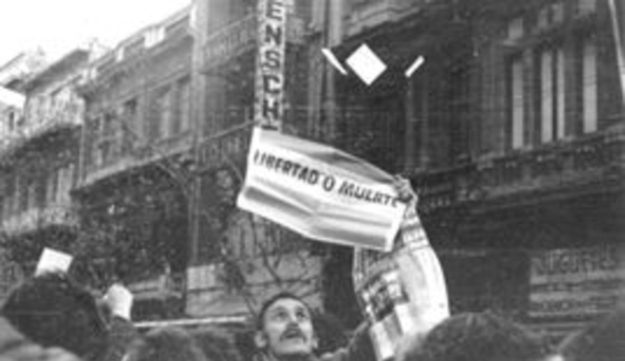 imagen de José Luis Piccardo