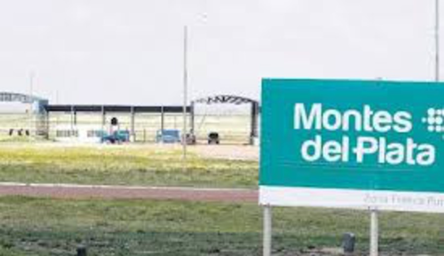 imagen de Décimo aniversario de Montes del Plata sobre su inversión histórica de casi US$ 2.500 millones