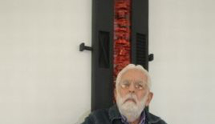 imagen de Washington Barcala: poética de lo banal