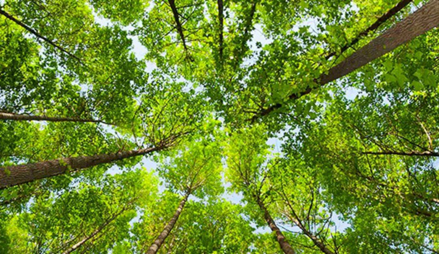 imagen de Ambiente promueve un turismo responsable en contacto con la naturaleza