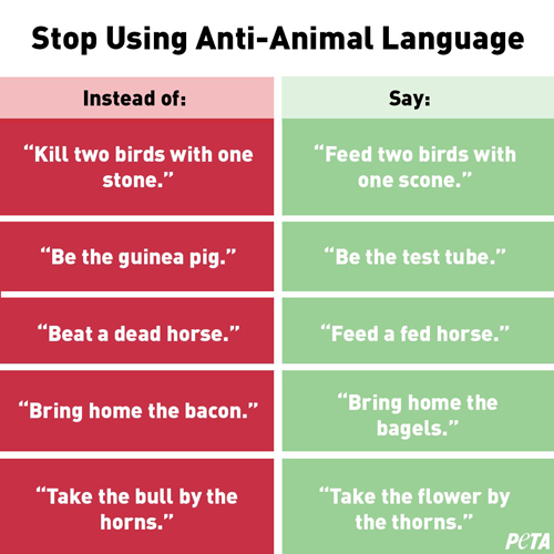 Twitter PETA
