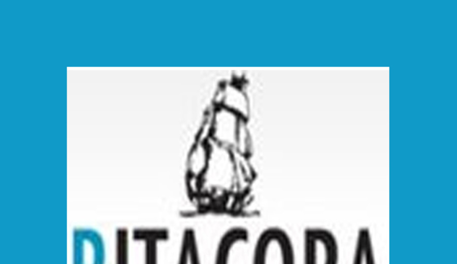 imagen de Bitácora. Año XX, Nro. 868: Bases para un programa revolucionario