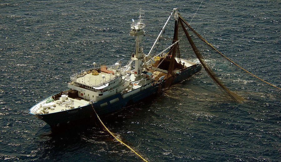imagen de Pesca ilegal: La flota pesquera china y un negocio multimillonario