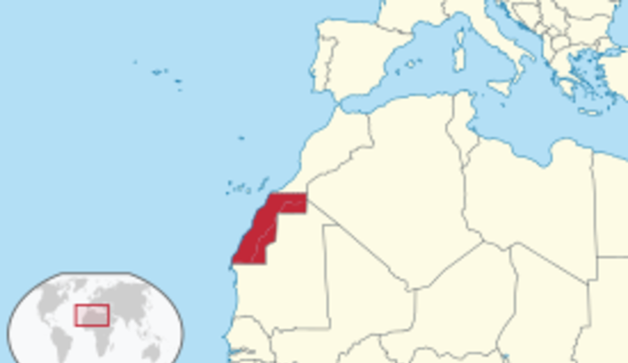 imagen de ¿Quién se lucra de la ocupación del Sáhara Occidental?