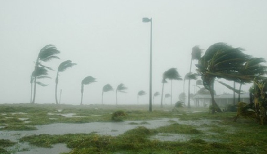 imagen de Esteban Valenti