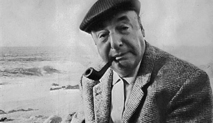 imagen de Una niña llamada Malva Marina: el lado oscuro de Neruda