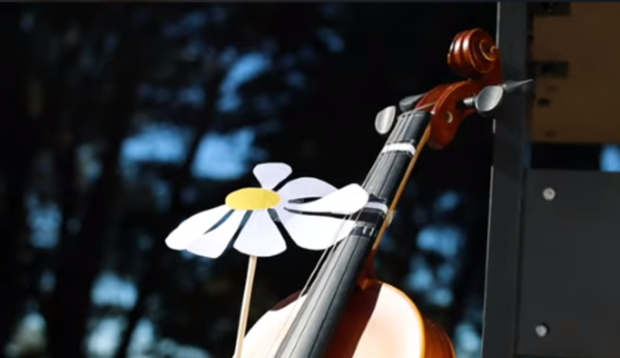 imagen de “Margaritas” florecen: el homenaje de murga Ay Alberto