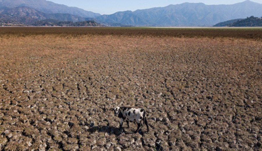 imagen de FAO, FIDA y PMA crean alianza de cara a la Cumbre sobre los Sistemas Alimentarios de Naciones Unidas