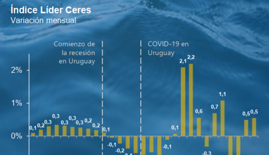 imagen de Índice Líder de Ceres muestra una suba de 0,5% en mayo e insinúa “una mejora en el segundo trimestre”
