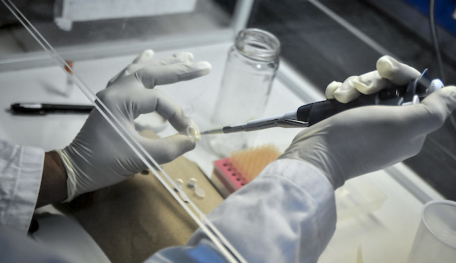 imagen de La lista del Sistema Nacional de Investigadores supera los dos mil integrantes