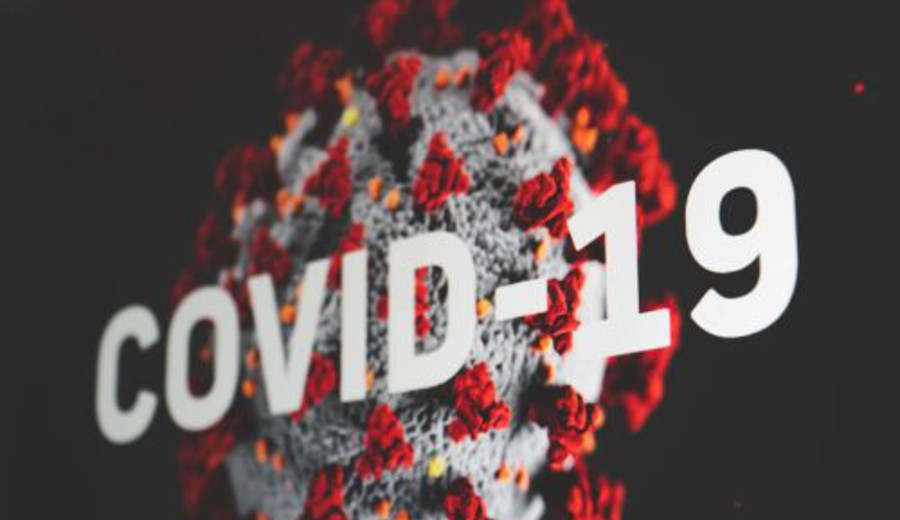 imagen de Miembros de la OMS se oponen a la politización de la investigación sobre origen de la COVID-19