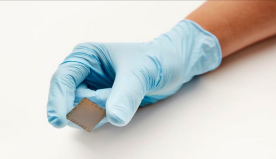 imagen de IBM revela Procesador que acelera la Inteligencia Artificial desde el Chip