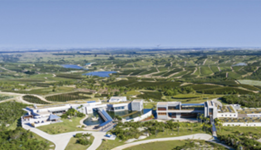 imagen de Bodega uruguaya elegida la cuarta mejor del mundo