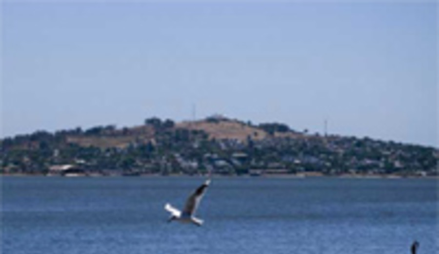 imagen de Turismo Cultural en el Cerro de Montevideo