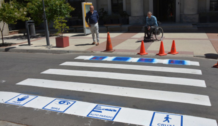 imagen de Inauguran en Canelones la primera cebra inclusiva del país