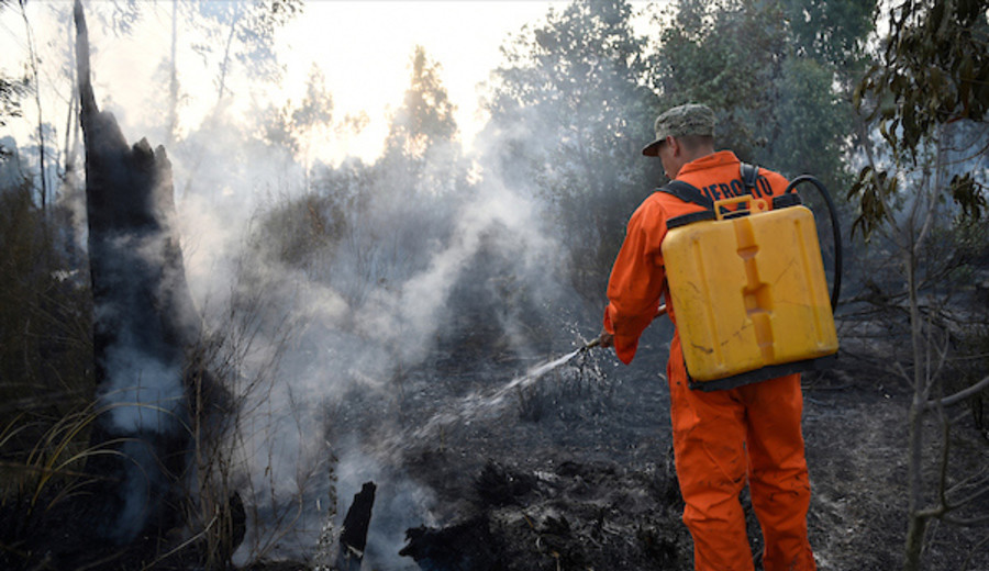 imagen de Incendios en Paysandú y Río Negro controlados, pero no extinguidos