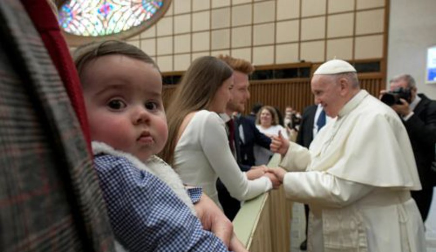 imagen de Papa Francisco: “Algunos no quieren tener hijos, pero en cambio tienen perros y gatos”