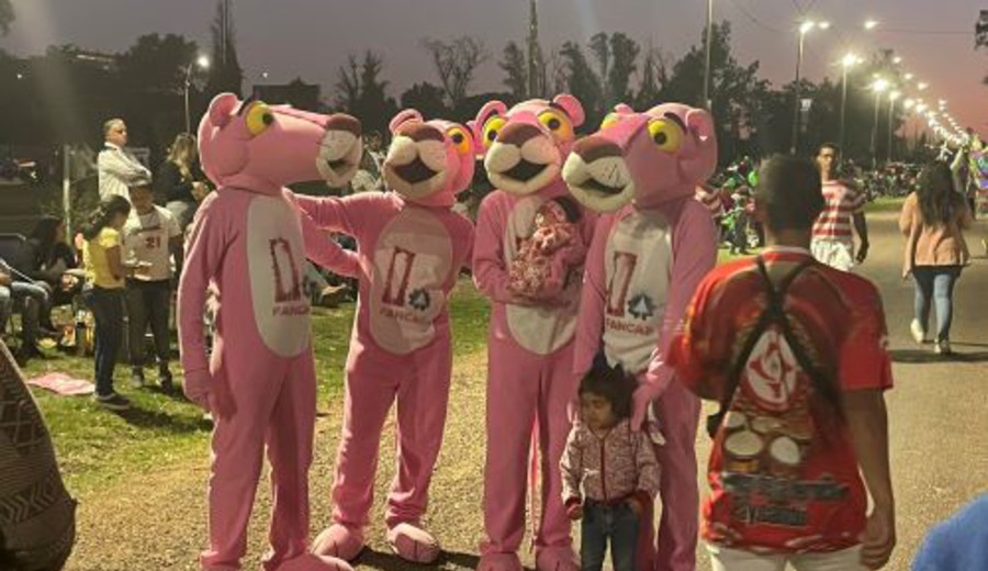 imagen de Metro-Goldwyn Mayer intima a no usar imagen de La Pantera Rosa en campaña por el SÍ