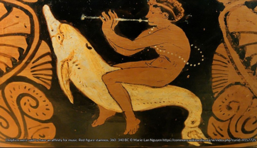 imagen de Marcelo Marchese