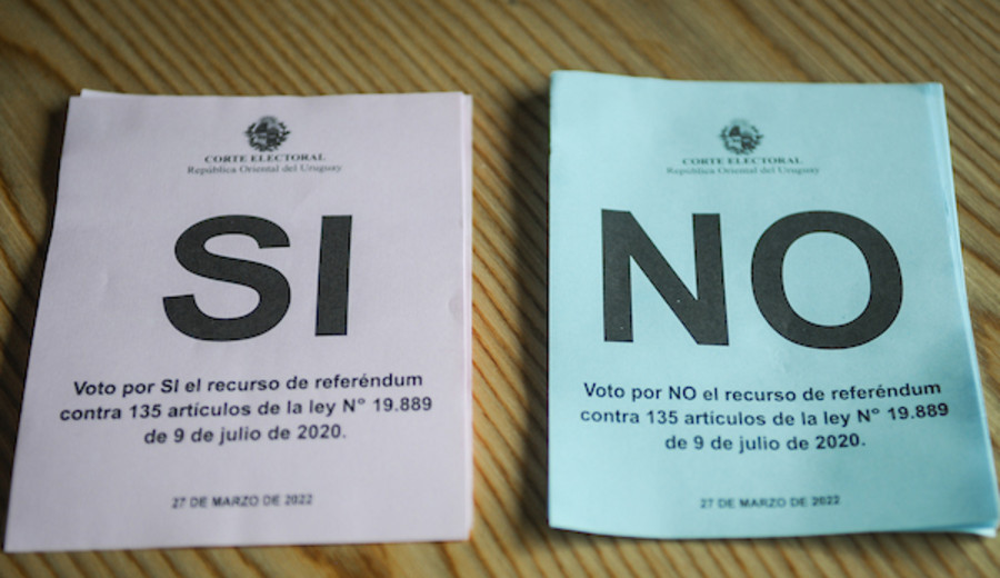 imagen de Desde las 8 hs abren los circuitos de votación para el referéndum de 135 artículos de la LUC