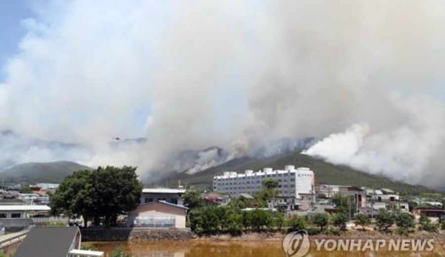 imagen de Incendio forestal en Corea del Sur: evacúan a más de 1000 personas