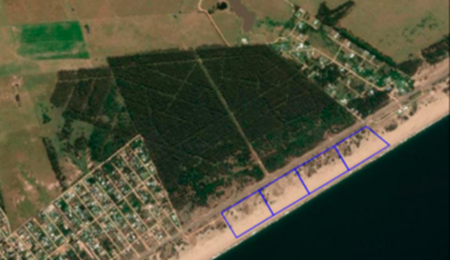 imagen de “¡Protegemos nuestras playas a toda costa!”: Juntan firmas para derogar decreto que permite construir sobre dunas