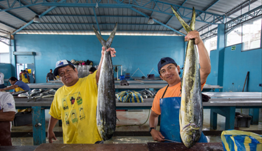 imagen de Día Mundial de la Pesca