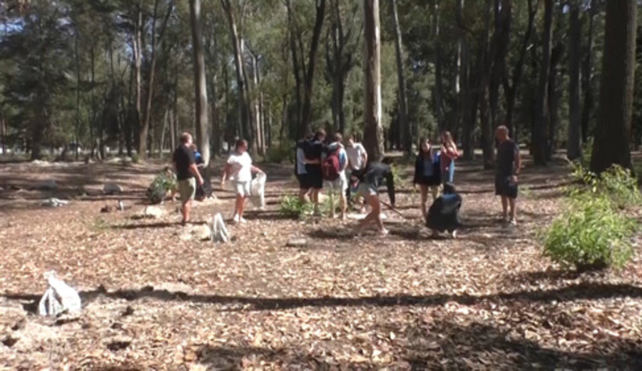 imagen de Plantaron árboles de especies nativas en el parque Roosevelt