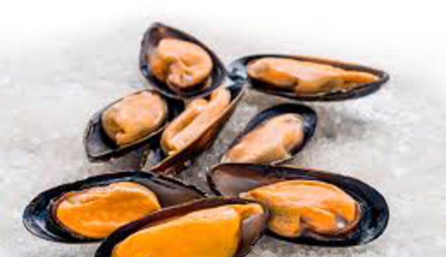 imagen de Levantamiento de veda para mejillones y almejas, se continúa con berberechos