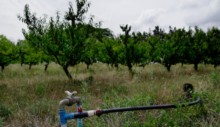 imagen de IM anunció cuatro medidas para productores afectados por la sequía
