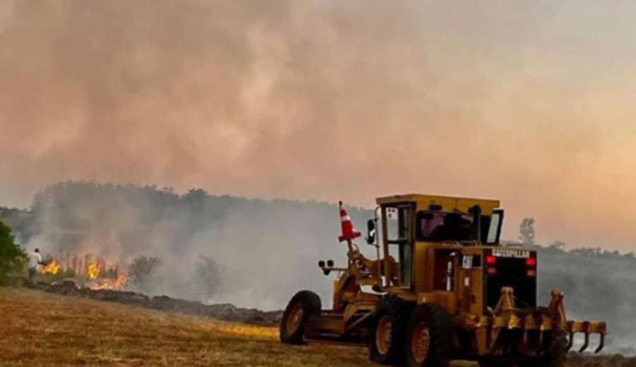 imagen de La FAO hace llamado a priorizar medidas de prevención para enfrentar crisis por incendios forestales en AL