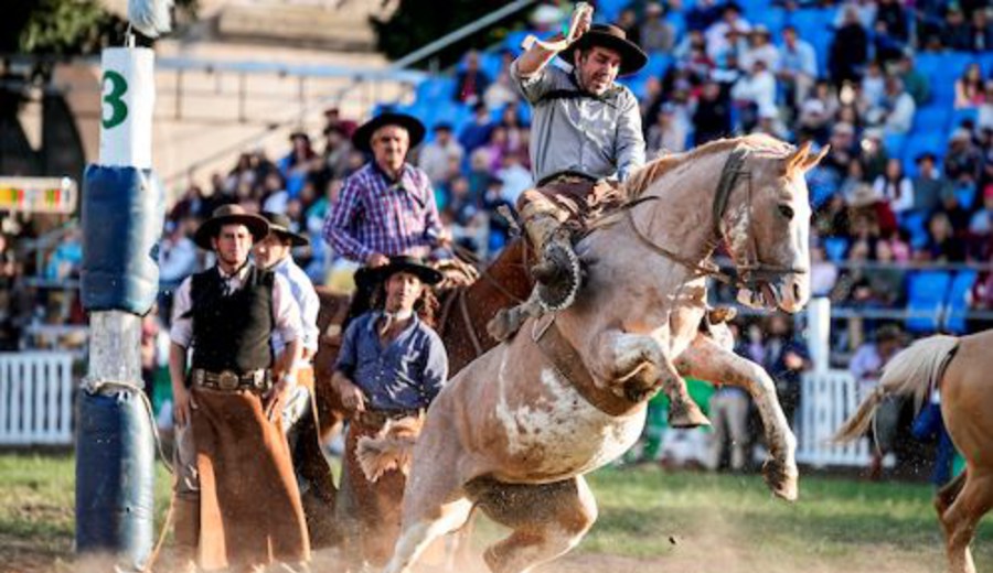 imagen de Más de 250.000 asistieron a la Semana Criolla en Montevideo