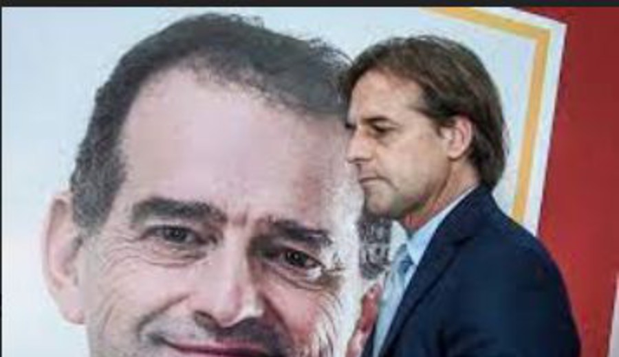 imagen de Marcelo Marchese