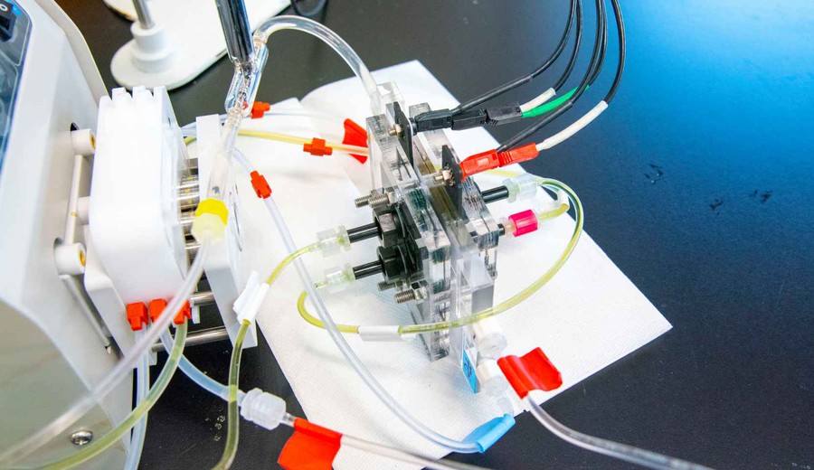 imagen de El invento contra la sequía para tener siempre agua potable: desala gastando un 90% menos de energía