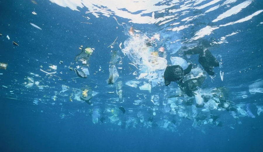 imagen de “Julio sin plástico”: Campaña mundial para reducir el consumo de plásticos de un solo uso