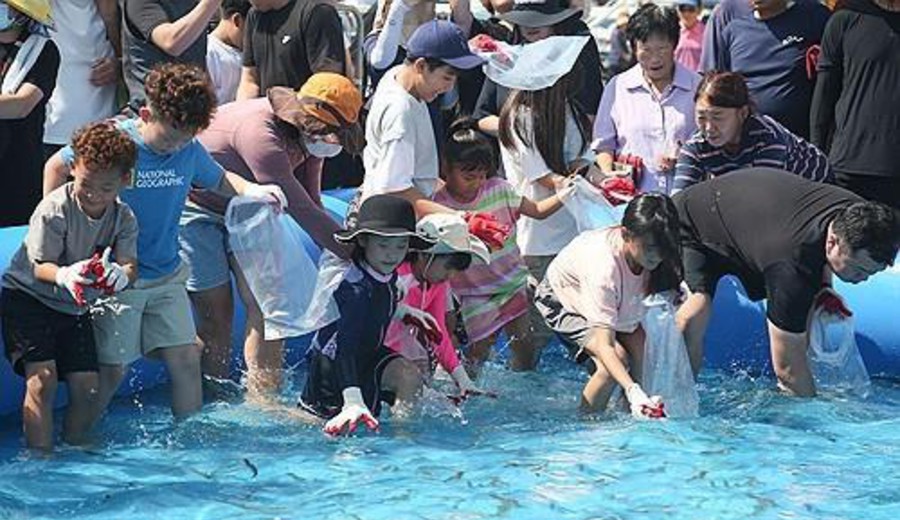 imagen de Corea del Sur asigna un presupuesto récord para fomentar el consumo de alimentos de origen marino