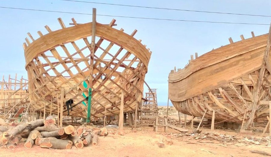 imagen de Perú: Denuncian que astilleros ilegales fabrican embarcaciones prohibidas que sobreexplotan especies marinas