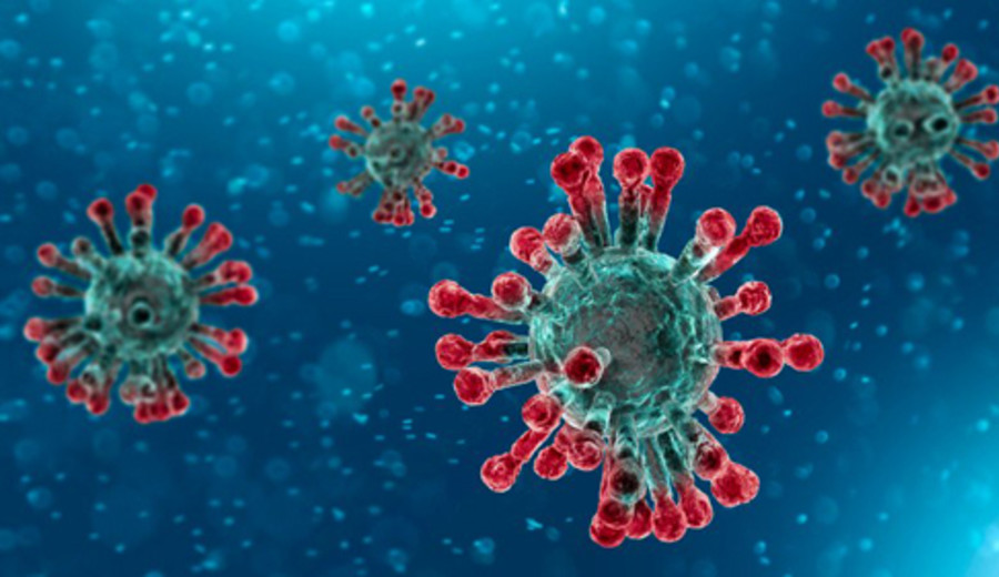 imagen de Instituto surcoreano afirma que Pyongyang realizó ejecuciones públicas a raíz del coronavirus