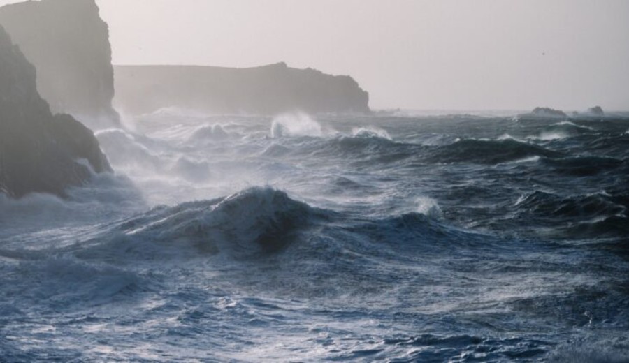 imagen de Más de 15 mil montes submarinos brindan refugio y alimento a diversas especies que no se encuentran en otro lugar