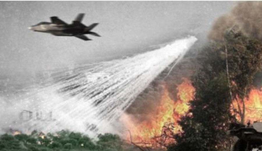 imagen de La guerra de Israel contra los árboles del Líbano