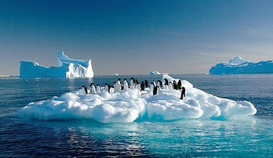 imagen de Rusia encontró las mayores reservas de petróleo en el mundo en un lugar 'prohibido'