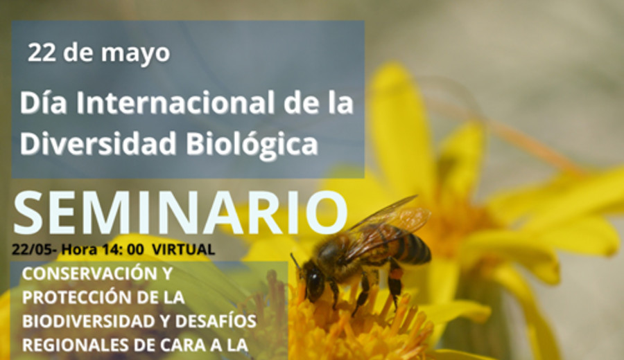 imagen de Día Internacional de la Diversidad Biológica