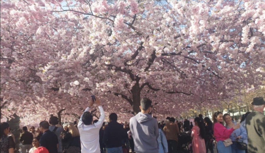 imagen de Javier Claure C.