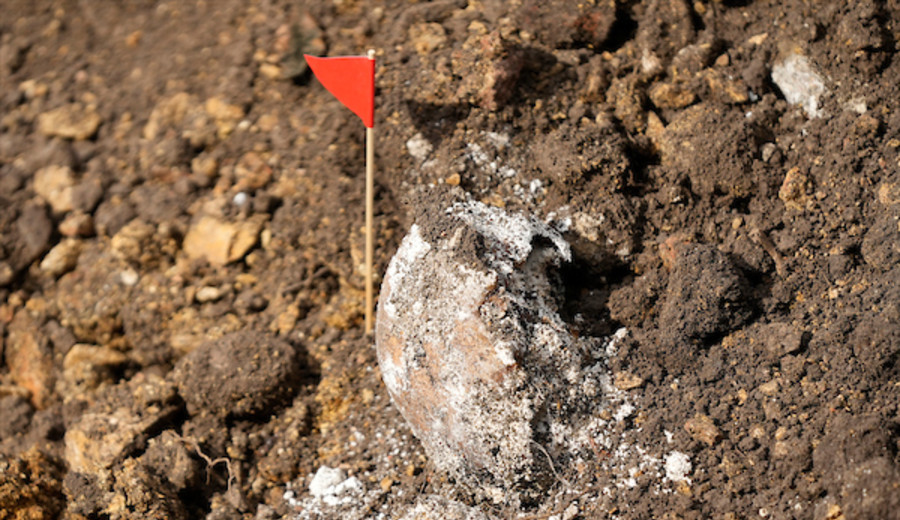 imagen de “Hemos logrado recuperar varios huesos del esqueleto”, dijo antropóloga que realiza excavaciones en Batallón 14