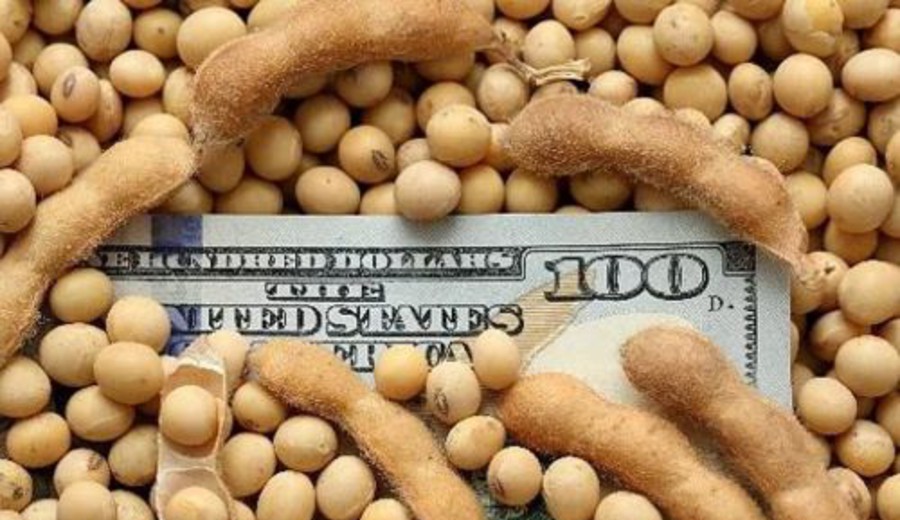 imagen de La guerra en Medio Oriente presiona al alza el precio de los granos: la soja alcanza valores máximos desde 2024