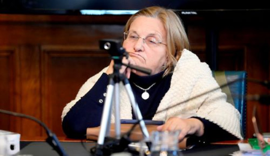 imagen de Bianchi reloaded: la senadora del Partido Nacional dijo que seguirá compartiendo fake news