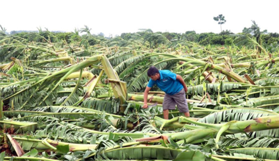 imagen de Tifón Yagi deja 59 muertos y desaparecidos en región septentrional de Vietnam