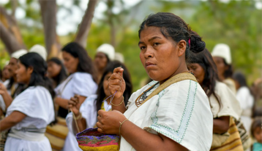 imagen de Al menos 196 defensores ambientales fueron asesinados en 2023